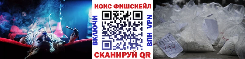 Cocaine Fish Scale  Купить закладки  Инта 