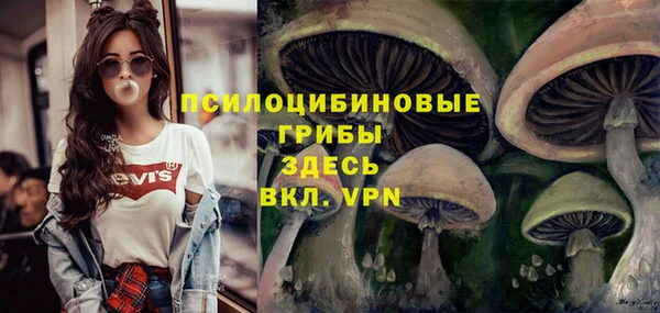 гашиш Касимов