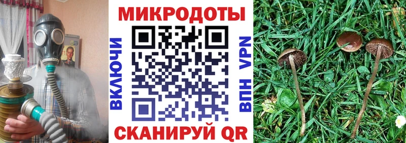 Купить где  Инта  Галлюциногенные грибы GOLDEN TEACHER 